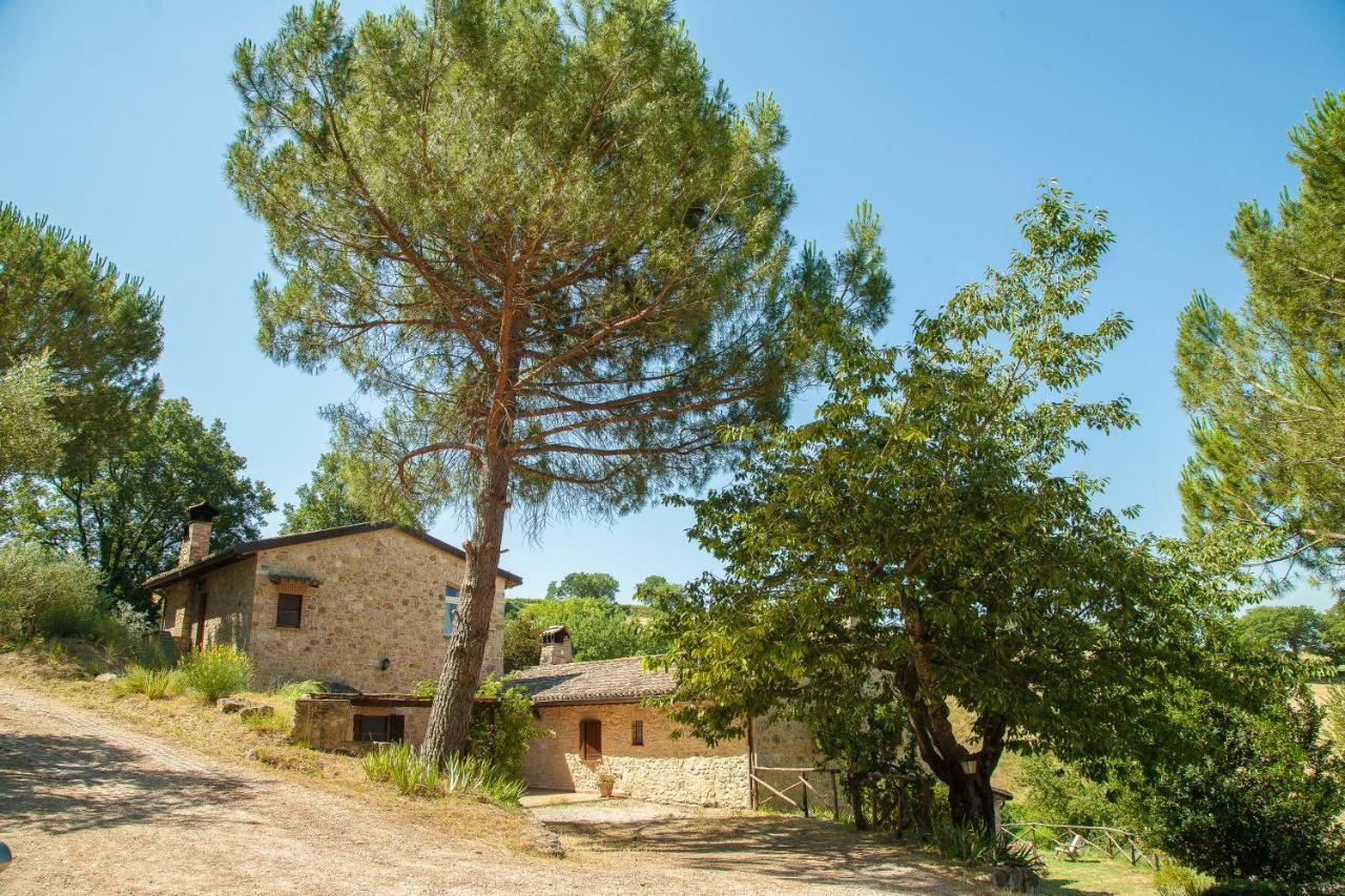 Apartamento Agriturismo Bio Tra Cielo e Terra Grutti Exterior foto