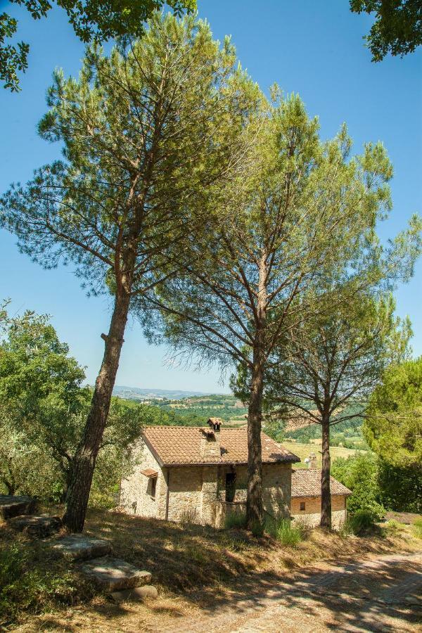Apartamento Agriturismo Bio Tra Cielo e Terra Grutti Exterior foto
