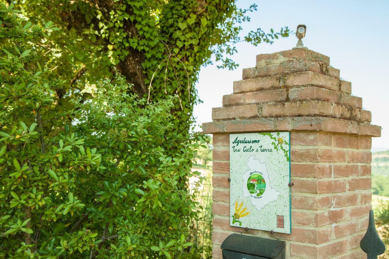 Apartamento Agriturismo Bio Tra Cielo e Terra Grutti Exterior foto